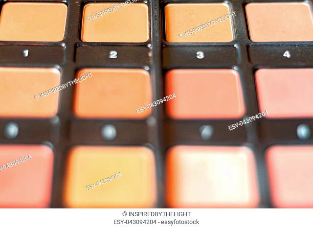 Professional cosmetic. Expensive blusher pallet