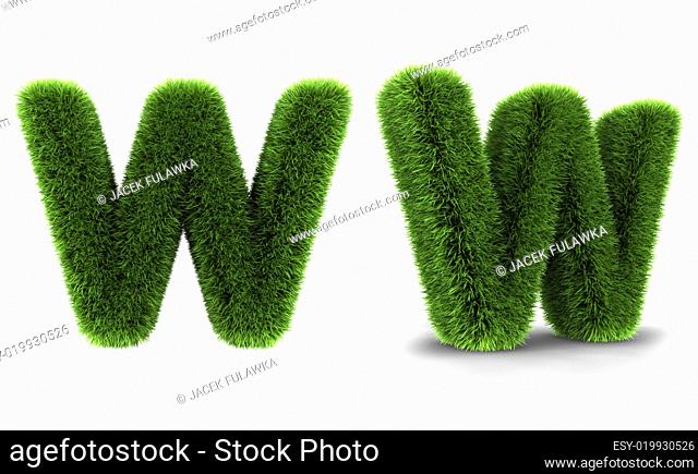 Grass Letter W