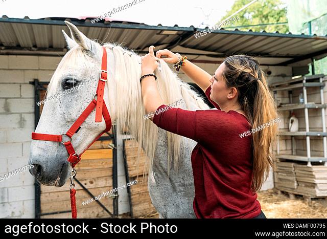 Young woman tying horse's mane at ranch