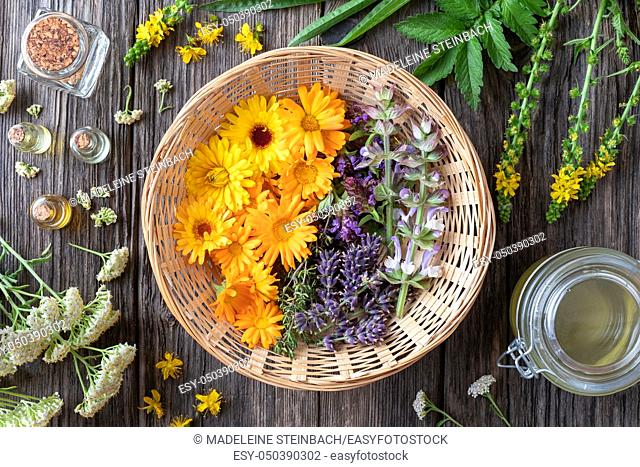 Fresh medicinal herbs and essential oils - ingredients to prepare a homemade skin product, top view