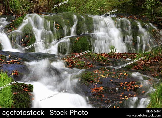 Allerheiligen waterfalls, Black Forest National Park, Baden-Württemberg, Germany, Europe