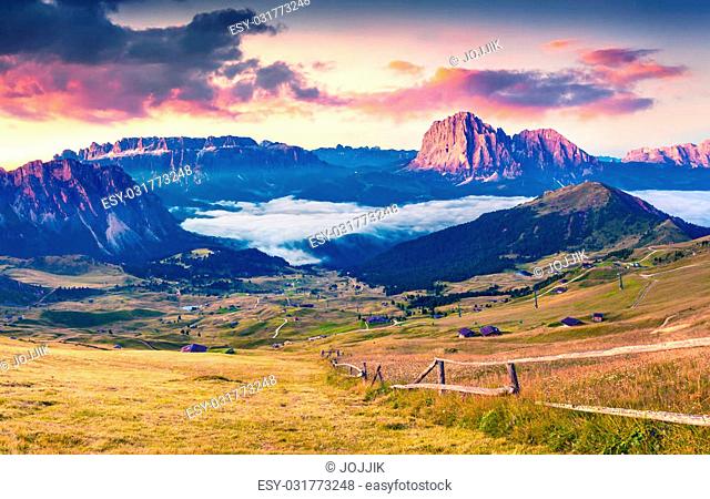Colorful summer sunrise in Dolomite Alps. August in Gardena valley. View of Sassolungo (Langkofel) mountain range, Ortisei, S