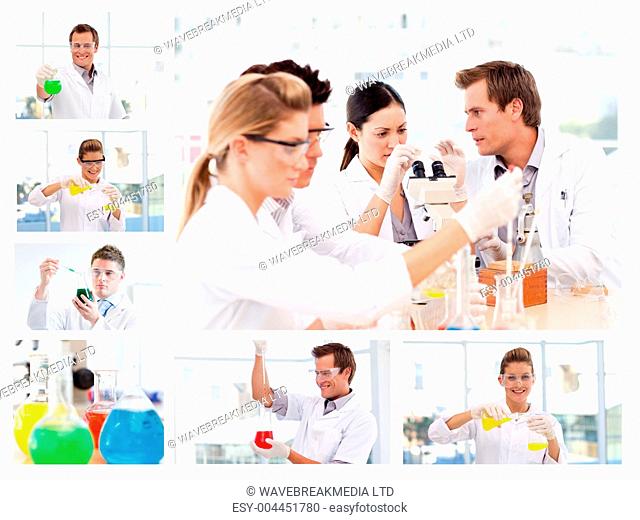 Collage of several scientists doing experiments