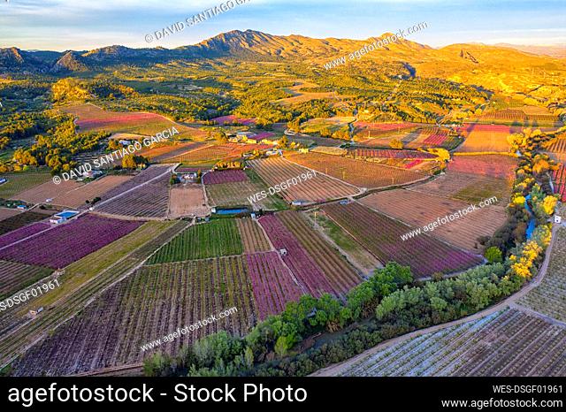 Spain, Region of Murcia, Cieza, Aerial view of vast countryside orchards at dusk