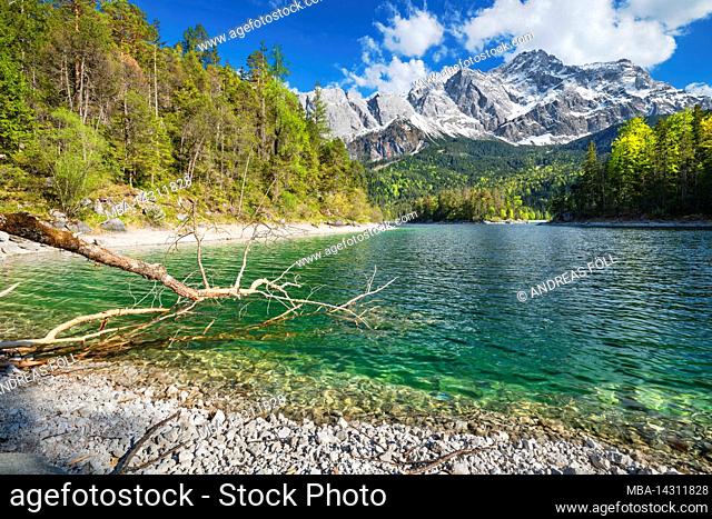 Idyllic Eibsee lake on a sunny spring day in front of snowy Zugspitze mountain. Wetterstein, Bavaria, Germany, Europe