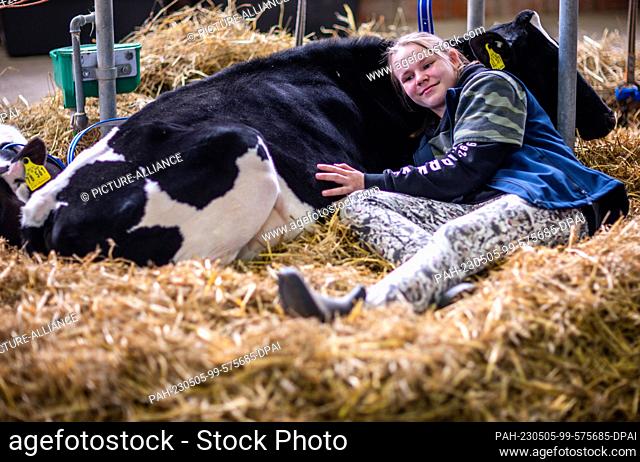 05 May 2023, Mecklenburg-Western Pomerania, Karow: The young breeder Diana Liebnow from Greifswald cuddles with the young animal ""Baila"" during a break at the...