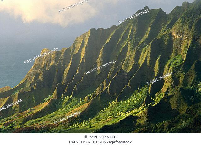 Hawaii, Kauai, NaPali Coast, Kalalau Valley, detail of green cliff side C1545