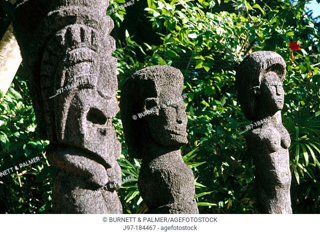 Sculptures made from tree fern wood. Fiji Islands