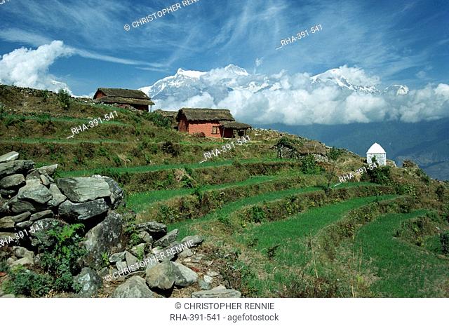 Terraced fields and shrine on a hill at Sarangkot with the Annapurna range of mountains in the background, near Pokhara, Nepal, Asia