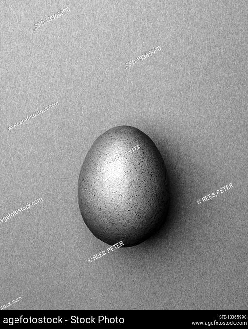 Light gray Easter egg on a light gray background