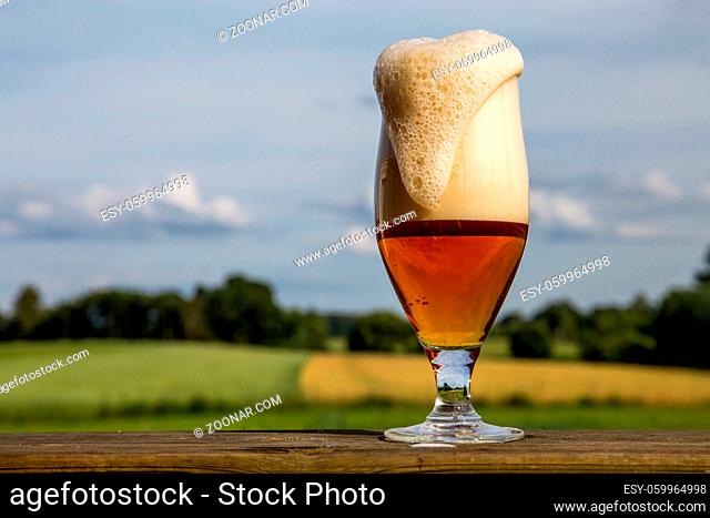 Glass of light beer with foam and bubbles on wooden table on summer landscape background. Beer is an alcoholic drink made from yeast-fermented malt flavoured...