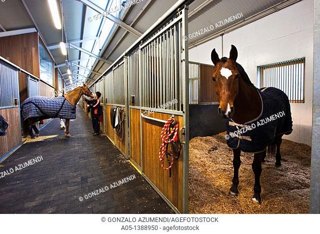 Equestrian Centre Robledales de Ultzama, Zenotz, Ultzama, Ulzama, Navarra, Spain