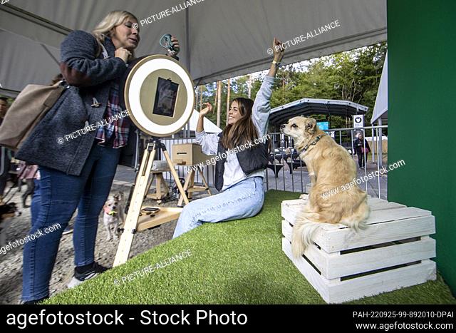 25 September 2022, North Rhine-Westphalia, Cologne: Two women encourage a dog to look into the camera of a selfie station at the party and presentation of the...