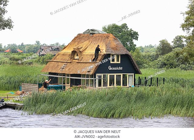 A Roof thatcher is doing his job. De Oude Venen, Friesland, The Netherlands
