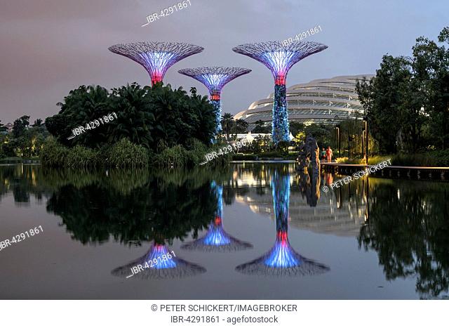 Super Trees, Gardens by the Bay, Singapore, Asia