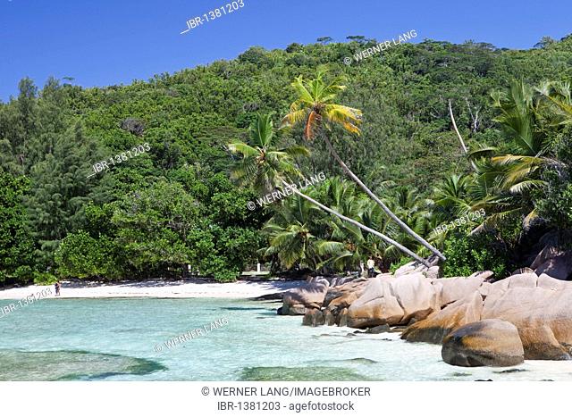 Coconut palms (Cocos nucifera) and granite rocks at Anse Cocos, La Digue island, Seychelles, Africa, Indian Ocean