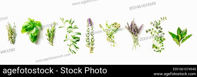 Herbes de Provence with lavender, traditional French aromatic herbs panorama, shot from the top on a white background