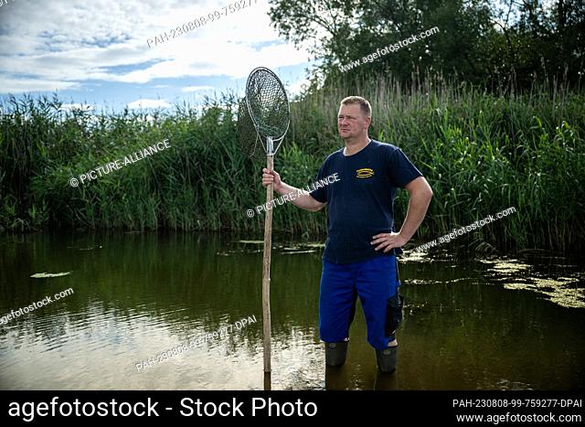 PRODUCTION - 05 August 2023, Brandenburg, Kuhbrücke: Fisherman Andre Schneider stands in the Oder River. The Schneider family runs a fishing farm with a camping...