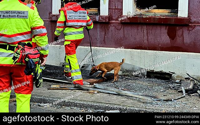 10 December 2023, North Rhine-Westphalia, Essen: A dog handler has a dog on a leash in front of the destroyed building after the explosion in an apartment...