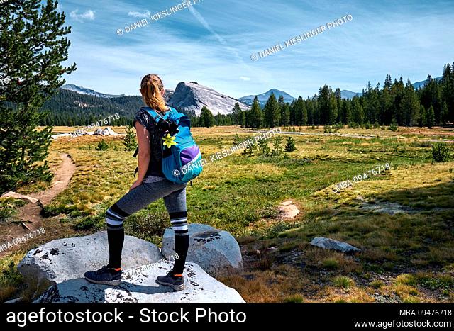 USA, United States of America, Tioga Pass, Yosemite National Park, Sierra Nevada, Tuolumne Meadows, California