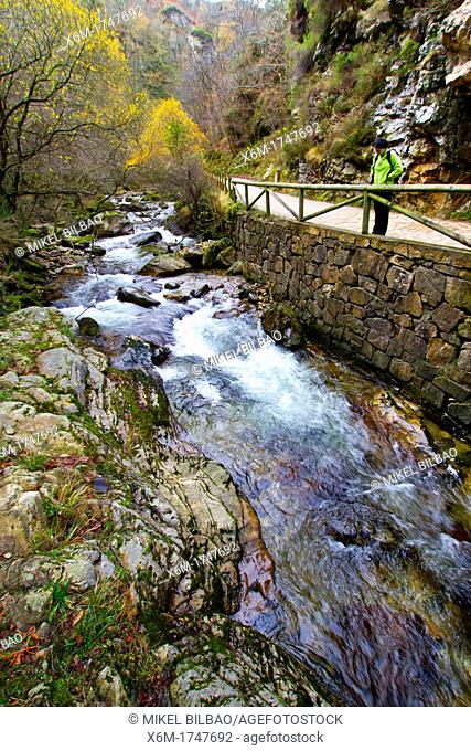 River  Sobrescobio  Alba river route  Redes National Park, Asturias, Spain