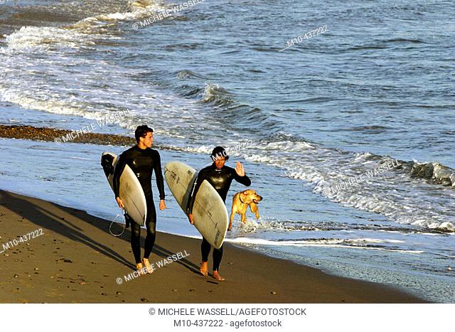 Two Young surfers walking along the beach in the evening with their dog