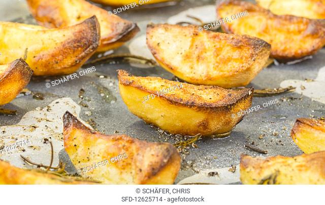 Potato wedges with rosemary on a baking tray