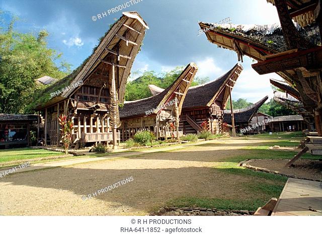 Toraja houses and granaries, Toraja area, Sulawesi, Indonesia, Southeast Asia, Asia