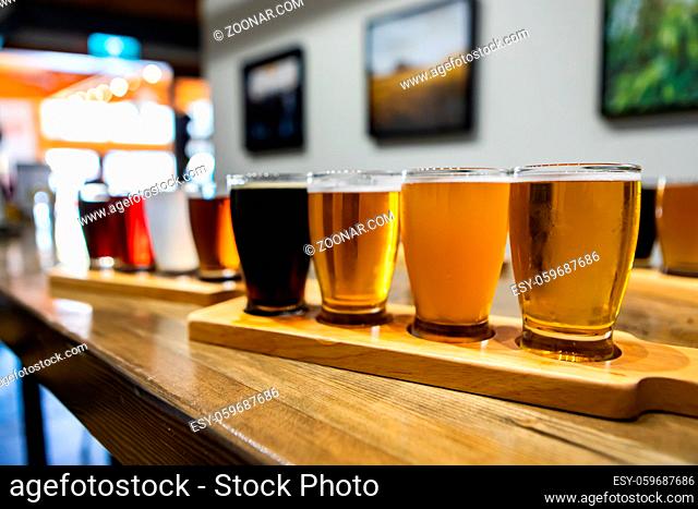 Flight of craft four of different beers glasses on a wooden tray during a tasting session, selective focus with blurred bar background