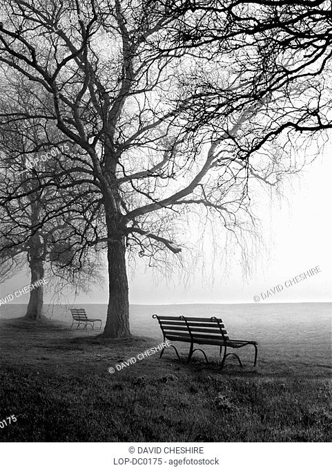 Park benches and birch trees in the morning mist at Newnham-on-Severn. In Roman times, three important roads including the major military coast road converged...