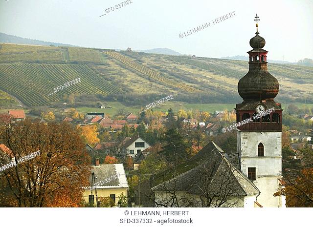The village of Tolscva, Tokaj, Hungary