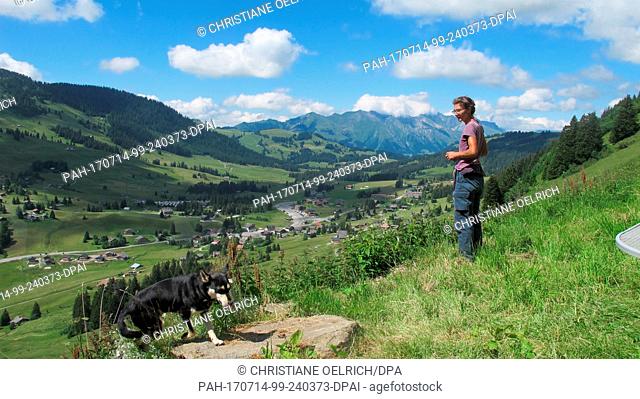 Shepherdess Claudine Monard standing in Champillon in the Swiss Canton of Waadt, 03 July 2017. Here a llama protects the herd from potential attacks from wolves