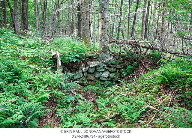 Abandoned cellar hole from a hill farm community along Sandwich Notch Road in Sandwich, New Hampshire USA. During the early nineteenth century thirty to forty...