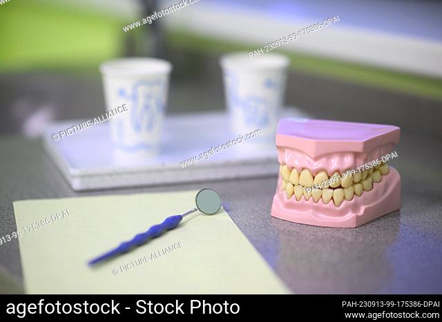 PRODUCTION - 11 September 2023, Lower Saxony, Hanover: A denture stands in a pediatric dental practice. The Association of Statutory Health Insurance Dentists...