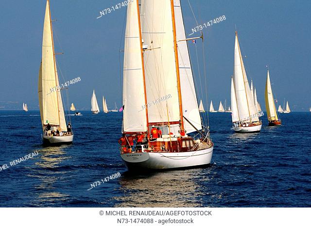 France, Var 83, Saint-Tropez, Les Voiles de Saint-Tropez meet every year in late September of beautiful classic yachts competing in regattas superb