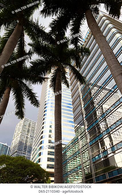 USA, Florida, Miami, Brickell Avenue, high rise buildings