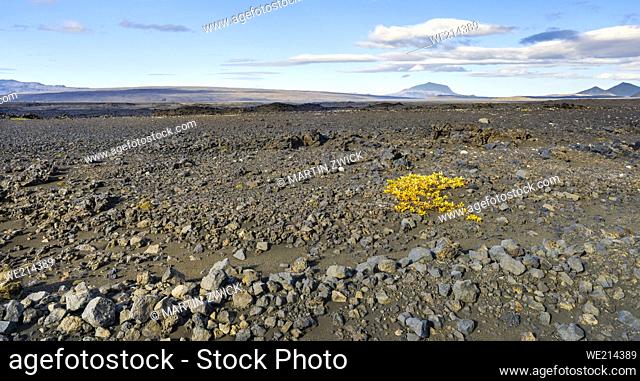 The north eastern interior highlands of Iceland in the Vatnajoekull National Park, a UNESCO world heritage site. Europe, Northern Europe, Iceland