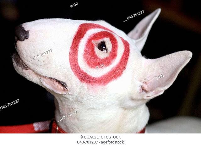 Bull Terrier, Target Dog
