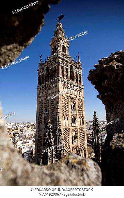 View of the Giralda from the roofs of the cathedral  Seville, Andalusia, Spain
