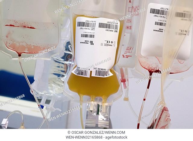 Blood Transfusion Center of Madrid. The center is developing the special summer donation campaign, which aims to maintain optimal blood reserves for hospitals...