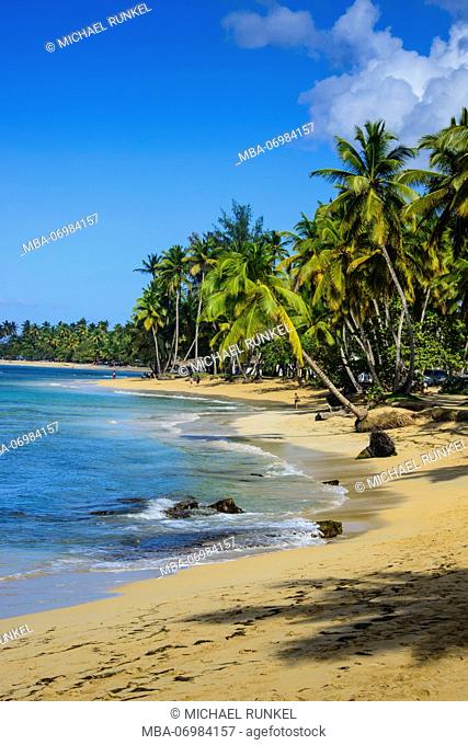 Casa Blanca beach, Las Terrenas, Dominican Republic