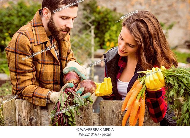 Young couple looking at vegetables