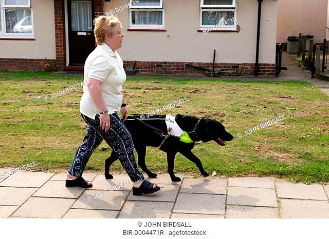 Partially sighted woman out walking with her guide dog