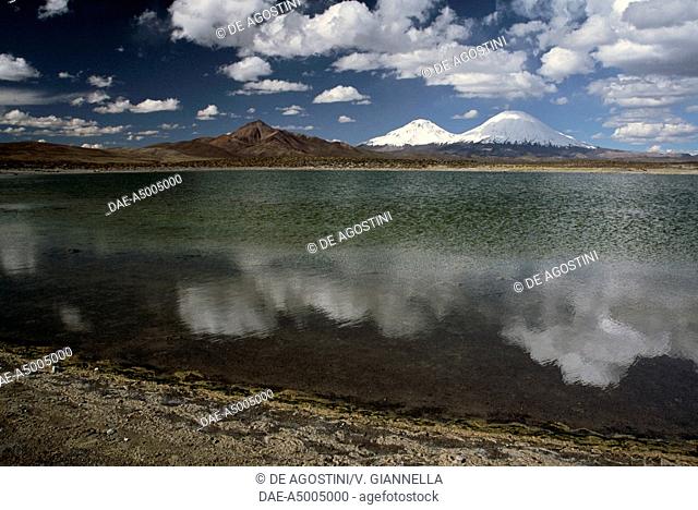 Salt lake with volcanoes Parinacota and Pomerane in the background, Lauca National Park (UNESCO World Heritage List, 1981), Arica y Parinacota Region, Chile