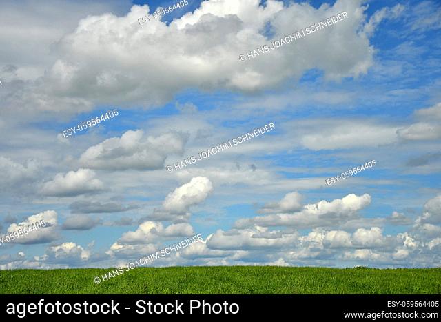 Blue sky with many white clouds and a green meadow in summer