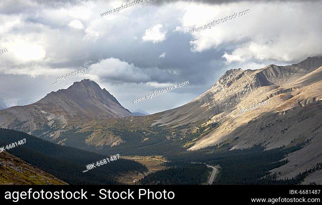 View of Wilcox Pass with Mount Wilcox and Nigel Peak in autumn, Parker Ridge, Sunwapta Pass, Icefields Parkway, Jasper National Park National Park