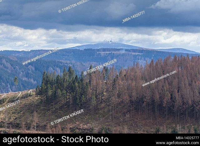 View to the Brocken in winter, Harz, Lower Saxony, Germany, Europe