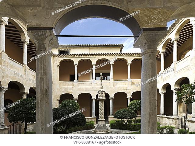 Cloister of the Cathedral of Orihuela in the provincica of Alicante, Spain