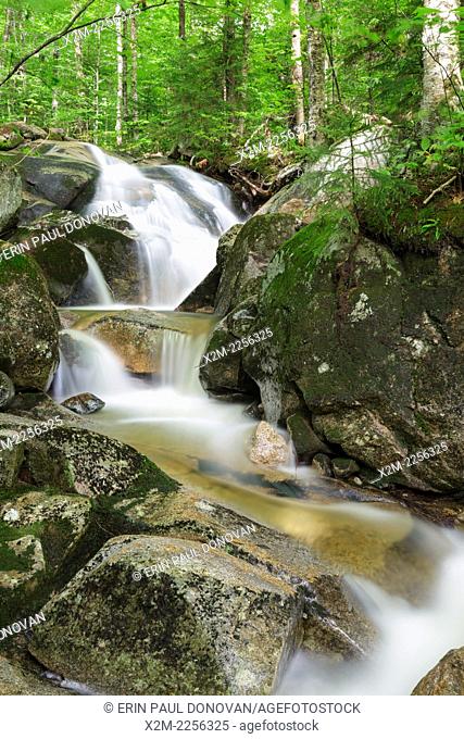 Tributary of Lost River on Mount Jim in Kinsman Notch of Woodstock, New Hampshire USA during the summer months