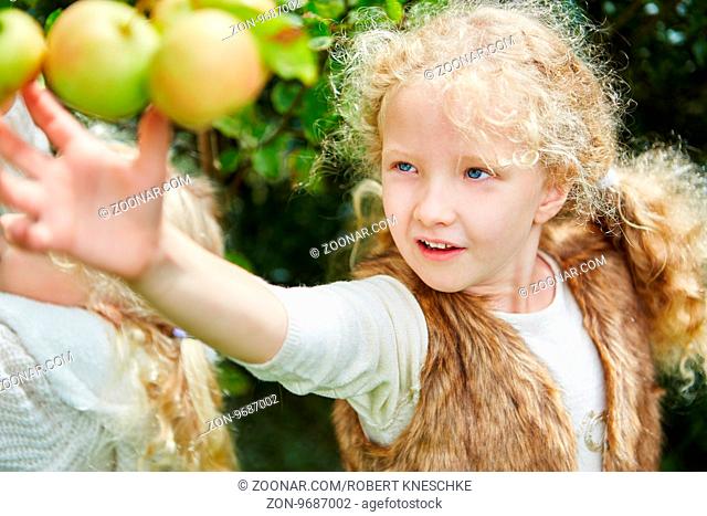 Blondes Mädchen pflückt einen Apfel vom Baum im Herbst